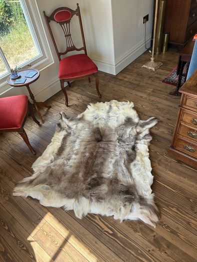 Reindeer Hide rug
