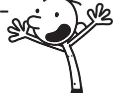 Diary of a Wimpy Kid Book Bundle - 21 books incl. hardback editions.