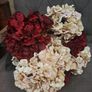 Velvet Hydrangeas Image 3