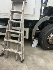 ladder little giant