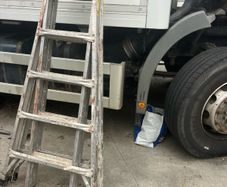 ladder little giant