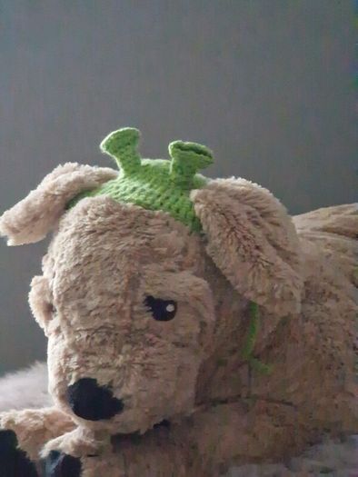 pet hat handmade