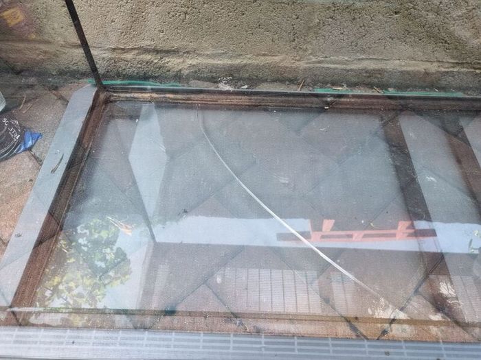 Terrarium