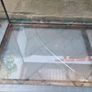 Terrarium Image 2