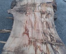 Pile of Spalted Beech Slabs / Boards . Live / Waney / Natural Edge