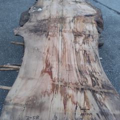Pile of Spalted Beech Slabs / Boards . Live / Waney / Natural Edge