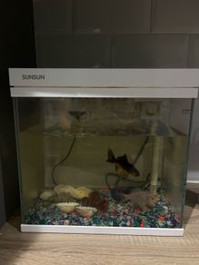 aquarium