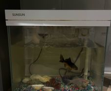 aquarium