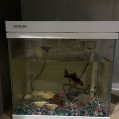 aquarium