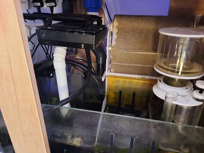 Complete Running Reef Tank