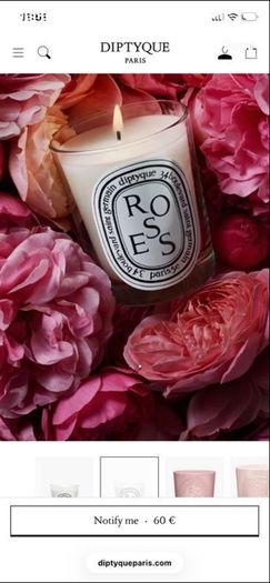 New Diptyque Roses Scented Candle