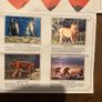 Vintage Shell WWF Shell Wild Animal Cards Image 8