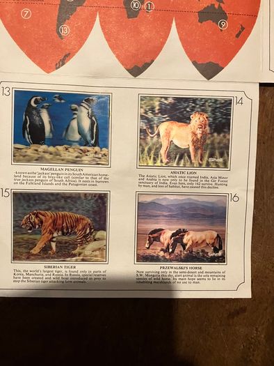 Vintage Shell WWF Shell Wild Animal Cards