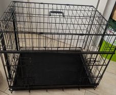 dog crate