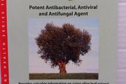 Olive Tree Extract