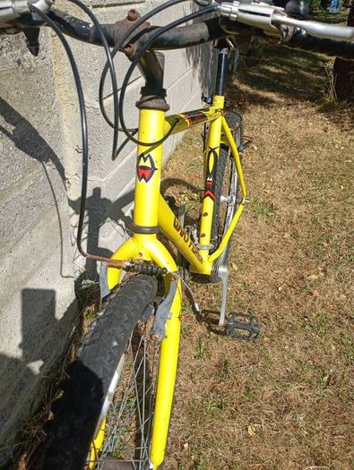 Bicycle Garry Fisher Vintage MTB