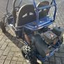 Buggy Image 4