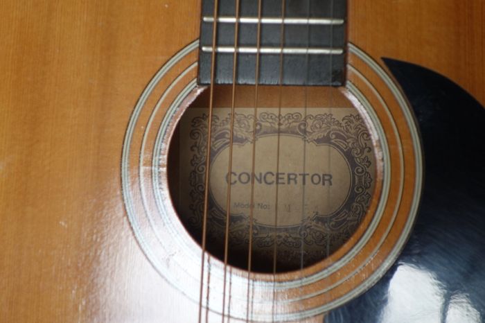 Guitar
