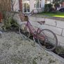 Ladies Bike Image 2