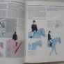 Horse Sense Image 5