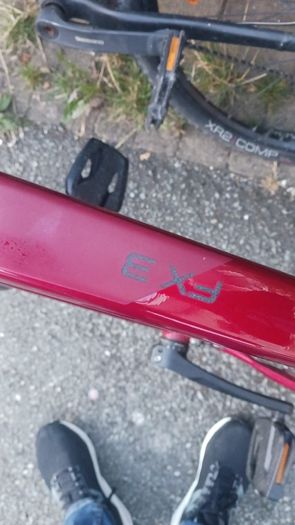 trek bike