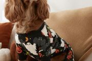 NEXT Glow in the Dark Dog Costume