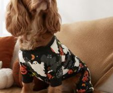 NEXT Glow in the Dark Dog Costume