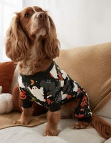 NEXT Glow in the Dark Dog Costume