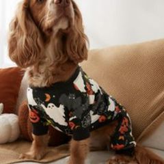 NEXT Glow in the Dark Dog Costume