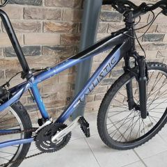 ladies bike( small )