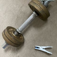 5kg dumbell
