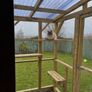 Catio for sale dromahair Leitrim Image 5