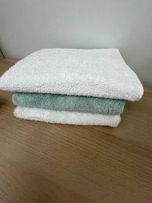 3 Hand Towels