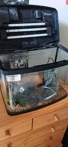 Aquarium all set
