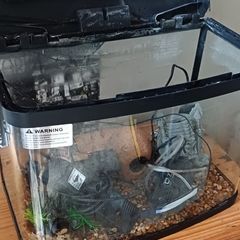Aquarium all set
