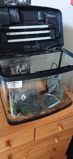 Aquarium all set