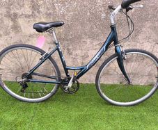 Raleigh Pioneer Metro Ladies Bike