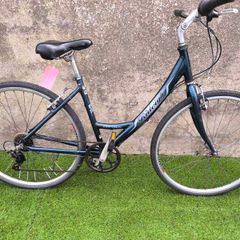 Raleigh Pioneer Metro Ladies Bike