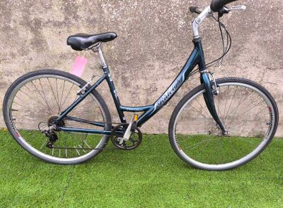 Raleigh Pioneer Metro Ladies Bike