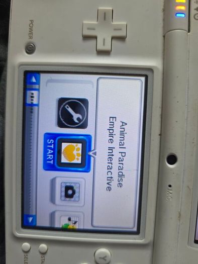 Nintendo Ds