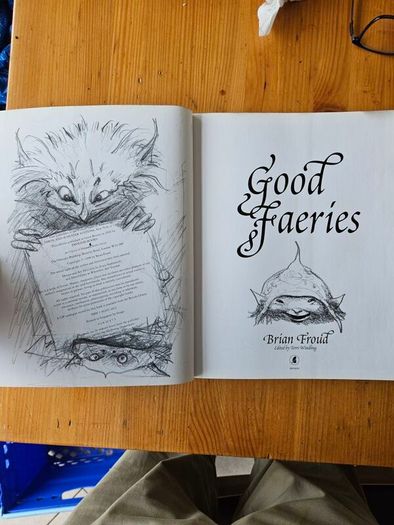 Good Faeries Bad Faeries. By Brian Fraud. First Edition Large Volume Paperback In Good Condition.  See Photos For Same.