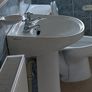 Basin and Pedestal Image 2