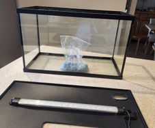 Fish Tank