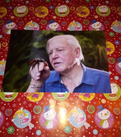 David aattenborough Signed 12x8 Photo