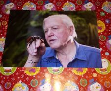 David aattenborough Signed 12x8 Photo