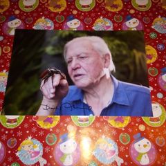 David aattenborough Signed 12x8 Photo