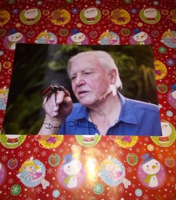 David aattenborough Signed 12x8 Photo