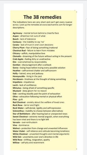 Bach Flower Remedies Tailored mix made by a Bach Center Practitioner