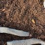Bark Mulch Image 2