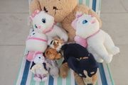 Bag of free soft toys
